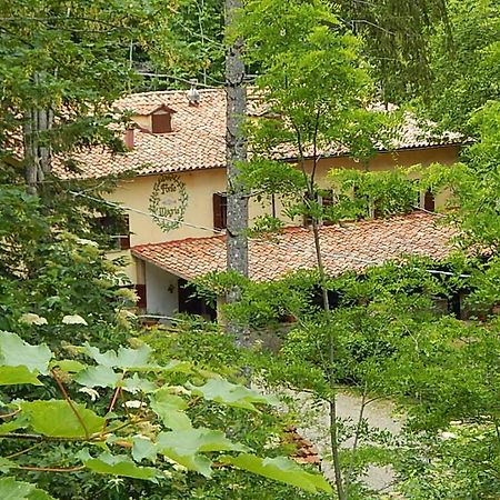 Agriturismo Fonte Magria Abbadia San Salvator Exterior foto